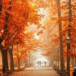 Meet your Posher, Kelley